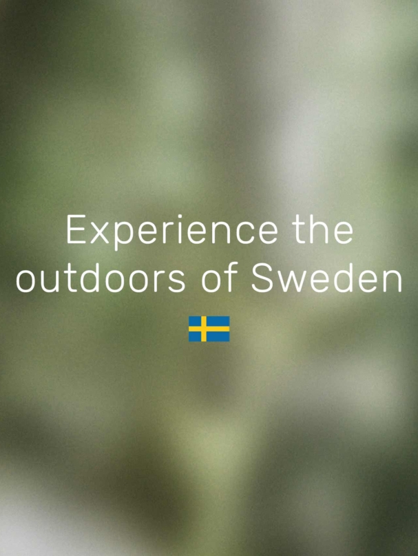 portfolio-overview_MVE