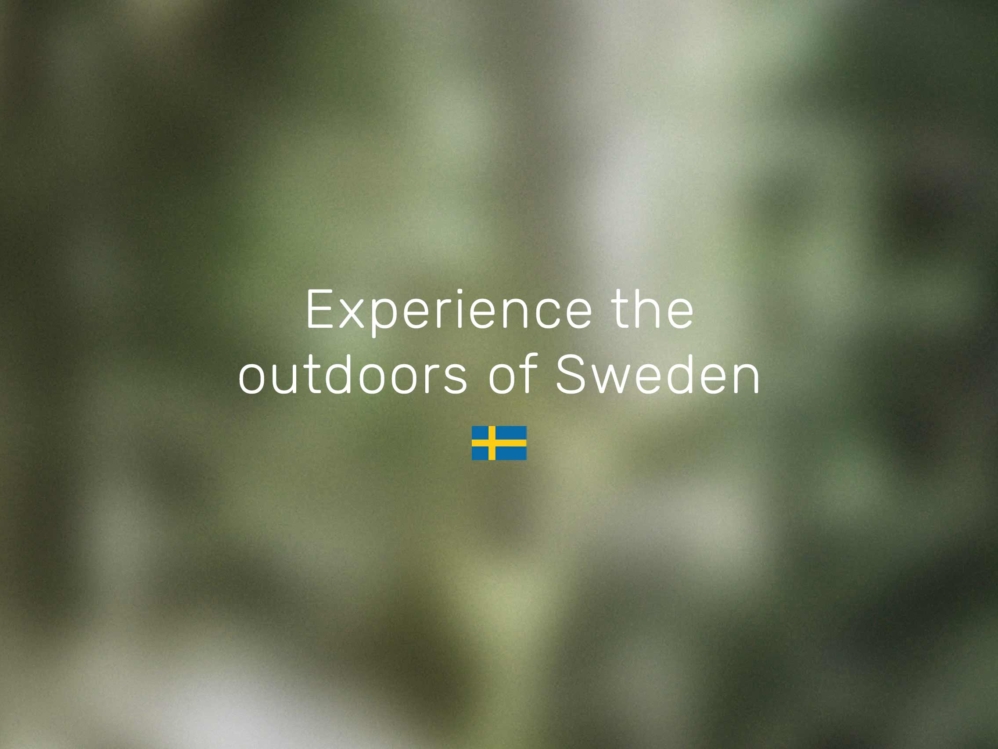 portfolio-overview_MVE