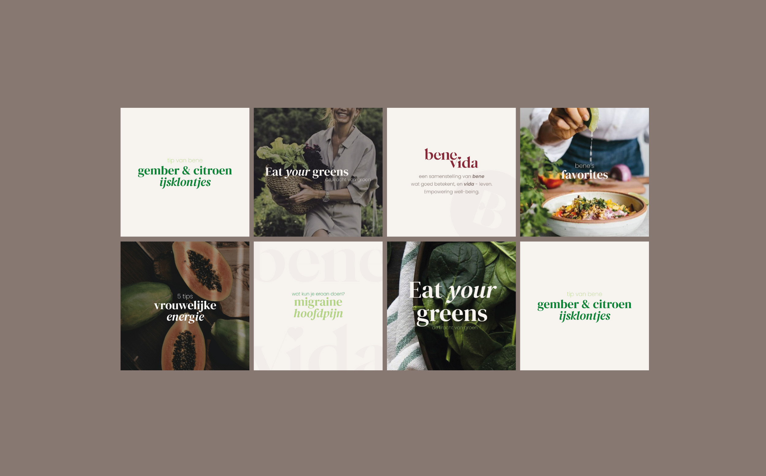 social media templates benevida