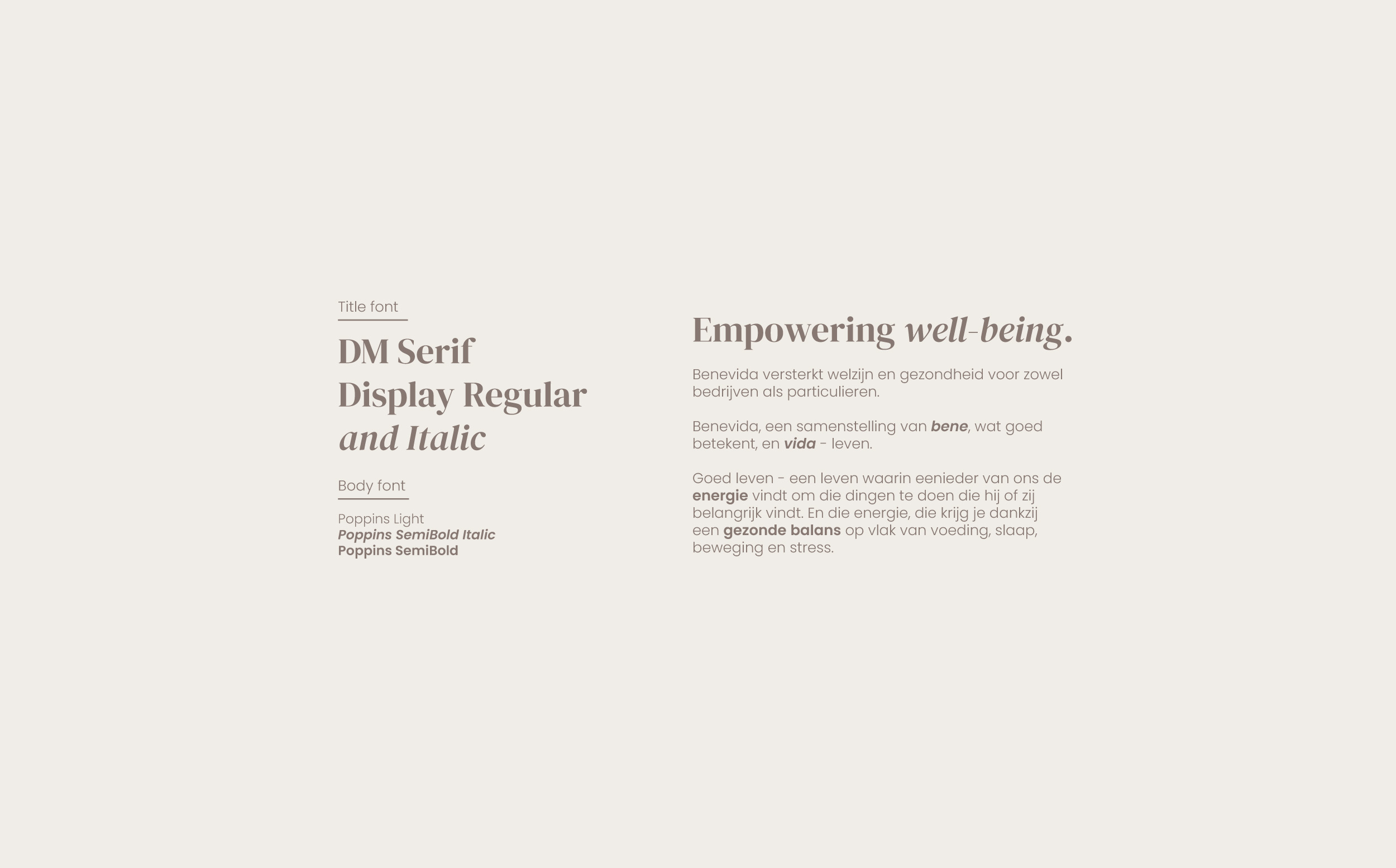 fonts poppins DM serif Display